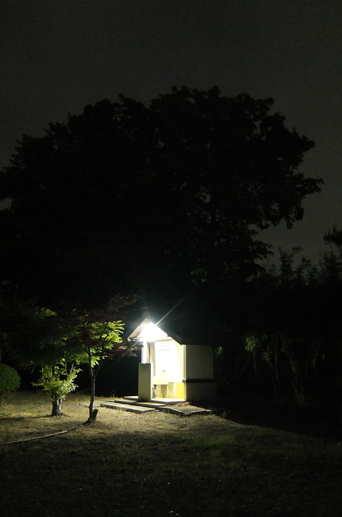 2014/05/06_夜のトイレ