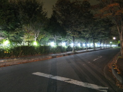 2015/10/31_夜の東部工業団地
