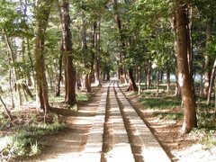 2017/05/04_神明神社参道（没カット）