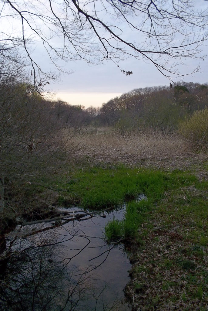 2016/03/26_北本自然観察公園