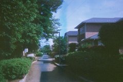 2014/05/04_緑の道