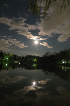 2014/12/06_月夜の北本総合公園