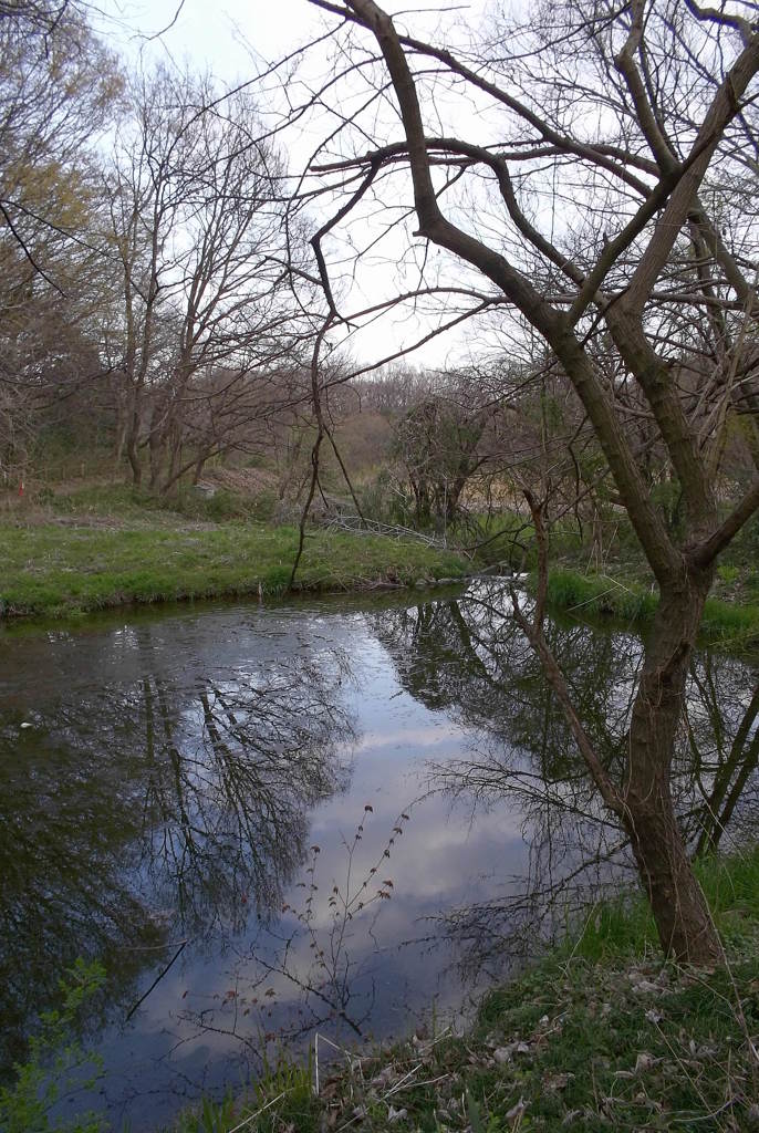 2016/03/26_北本自然観察公園
