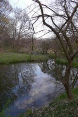 2016/03/26_北本自然観察公園