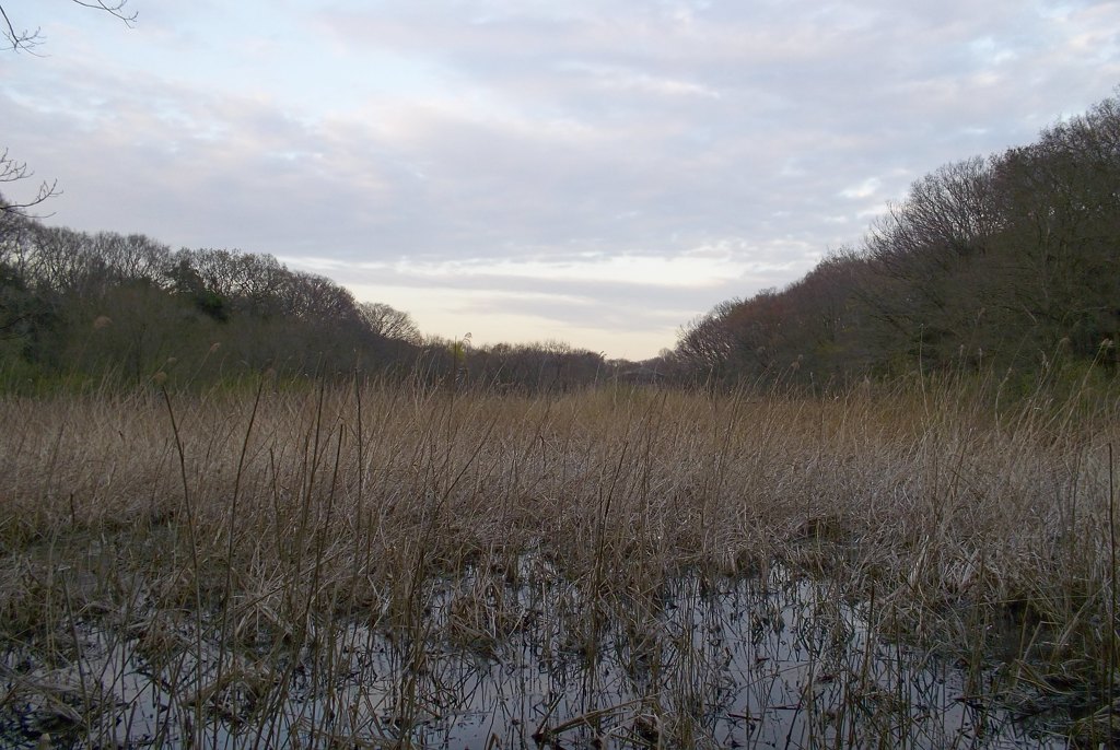 2016/03/26_北本自然観察公園