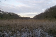 2016/03/26_北本自然観察公園