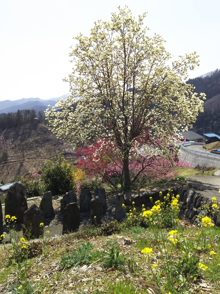 2018/03/25_花桃の郷