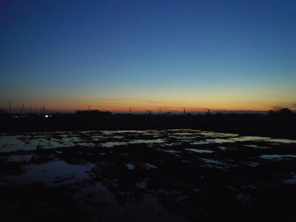 2016/12/18_水田の夕暮れ