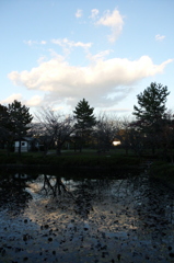 2015/11/03_岩槻城址公園