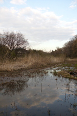 2016/03/26_北本自然観察公園