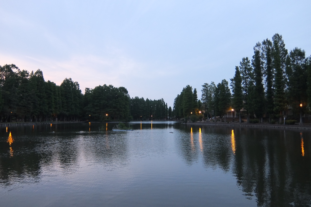 2014/05/24_夕暮れの別所沼公園