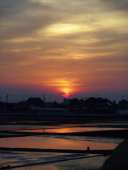 2017/05/21_水田の夕日