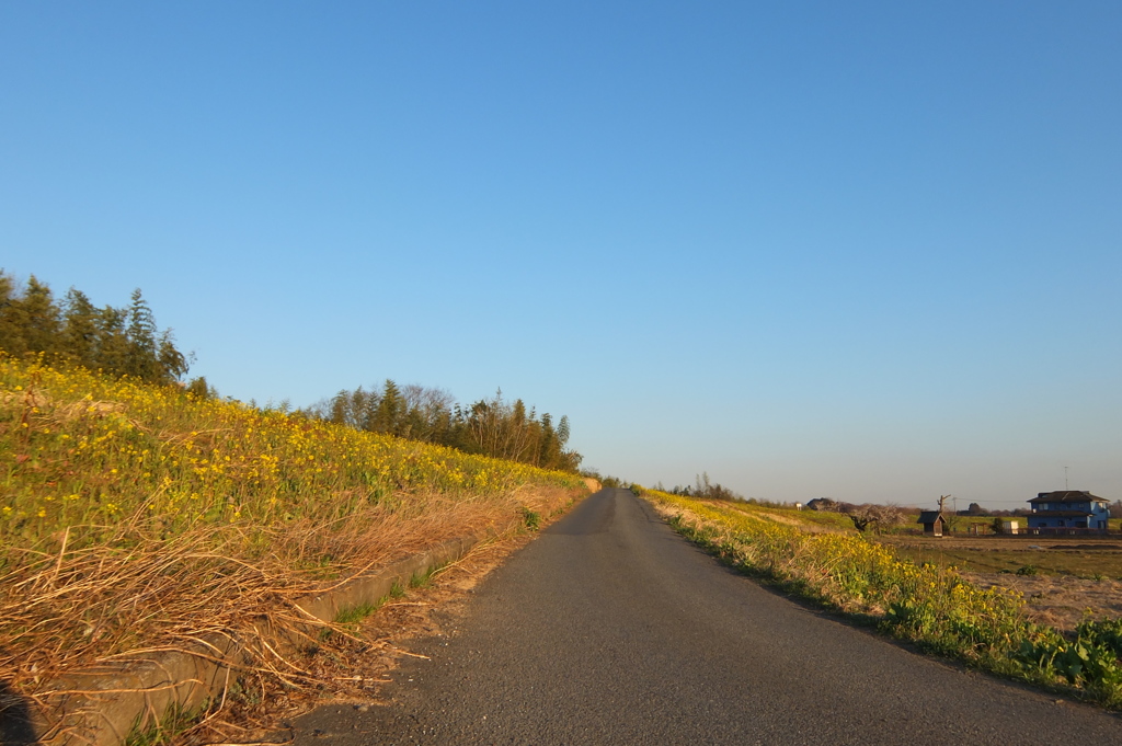 2014/03/15_堤防への道