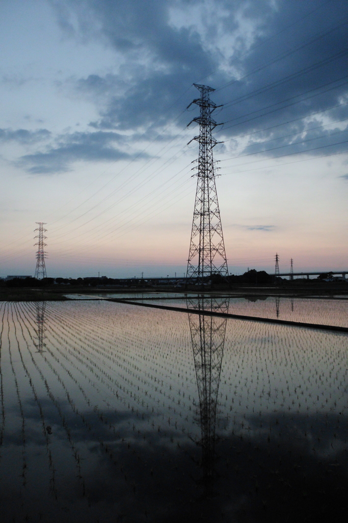 2016/06/05_水田の夕暮れ