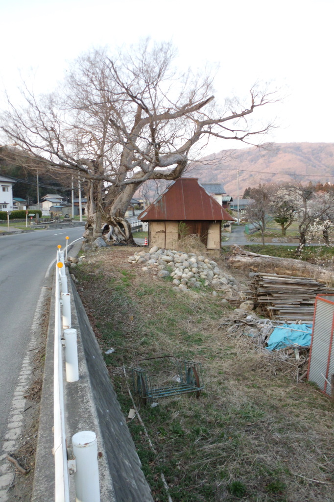 2014/03/29_小屋と木と荷車
