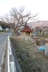 2014/03/29_小屋と木と荷車