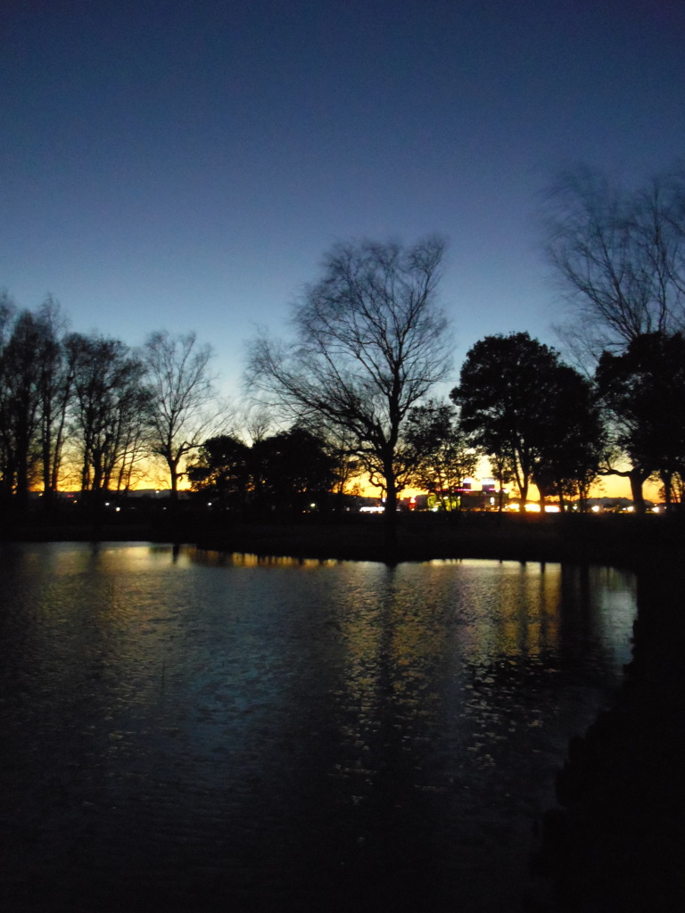 2016/12/30_さきたま古墳公園の夕暮れ