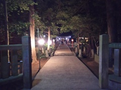 2017/01/01_新年の夜の小室氷川神社