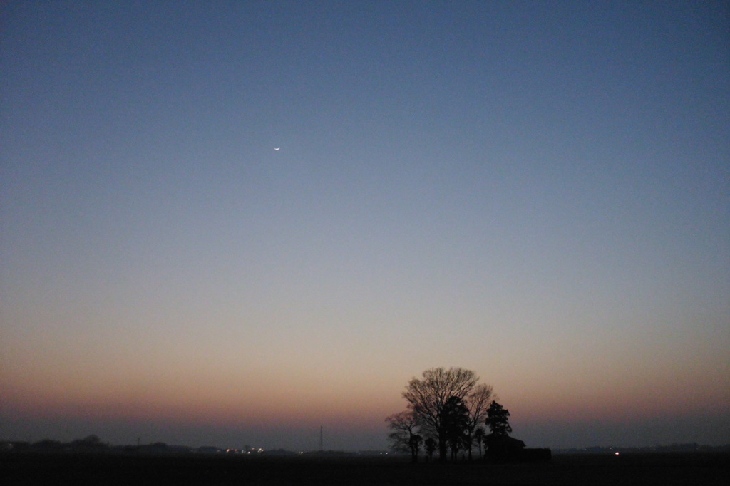 2014/02/02_夕暮れの木と月