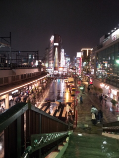 2016/04/01_夜、雨の上野