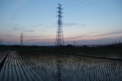 2016/06/18_水田の夕暮れ