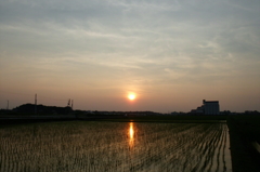 2015/07/12_水田の夕暮れ