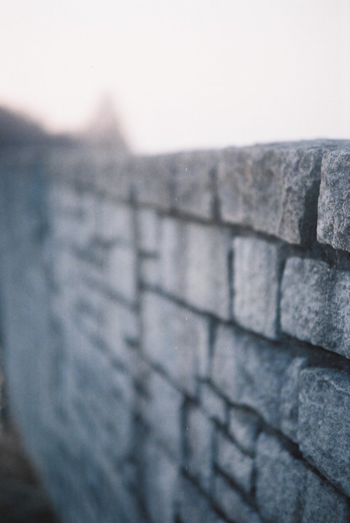 2016/02/28_花の丘農林公苑