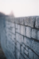 2016/02/28_花の丘農林公苑