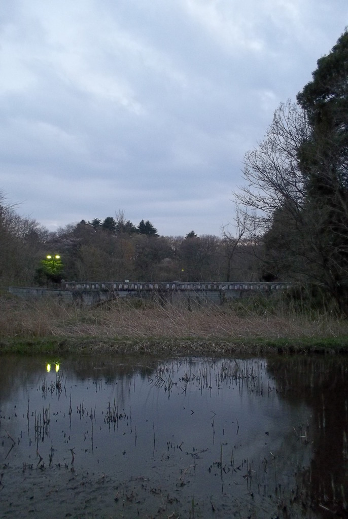 2016/03/26_北本自然観察公園