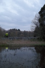 2016/03/26_北本自然観察公園