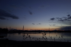 2015/01/02_伊佐沼の夕暮れ