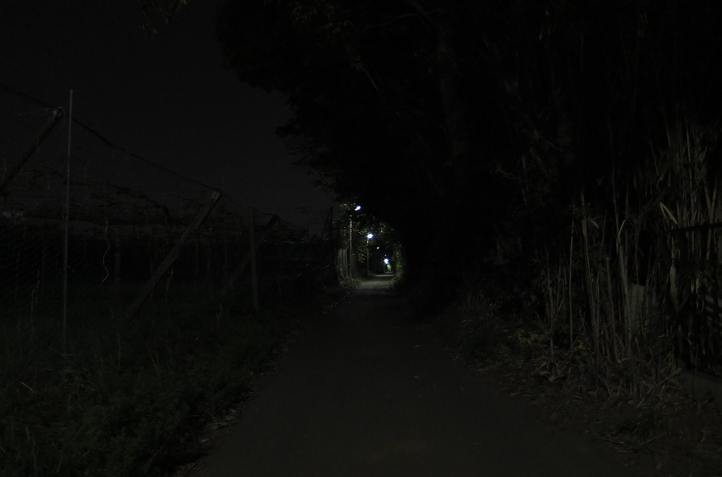 2014/04/26_夜の田舎道
