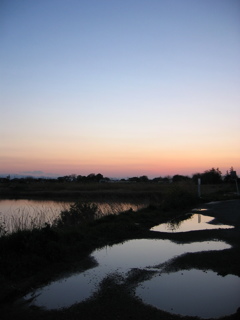 2017/04/15_水溜まりと溜め池の夕暮れ