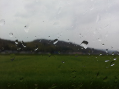 2019/04/14_車窓の雨越しの田園