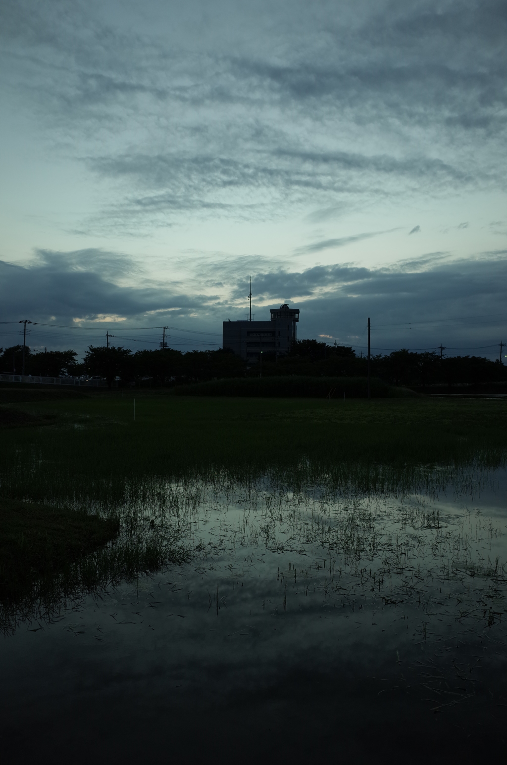 2015/06/21_夕暮れのラブミー農場跡地