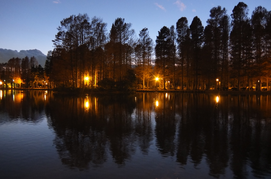 2014/12/14_夕暮れの別所沼公園