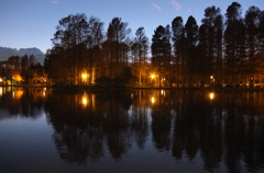 2014/12/14_夕暮れの別所沼公園