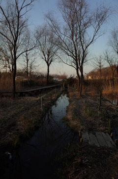 2015/02/11_ホタルの里