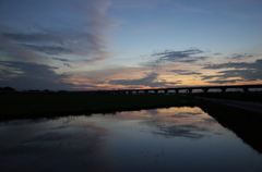 2015/07/19_水田の夕暮れ