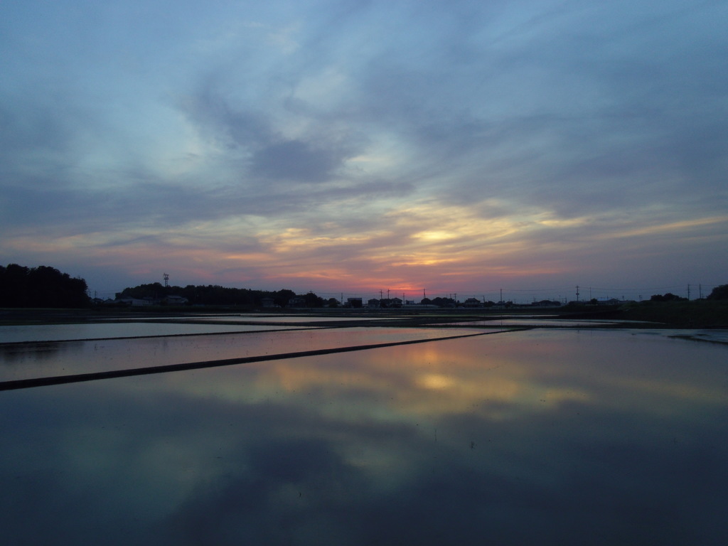 2017/05/21_水田の夕暮れ