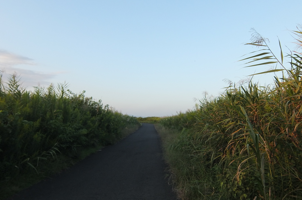 2014/09/28_続く道