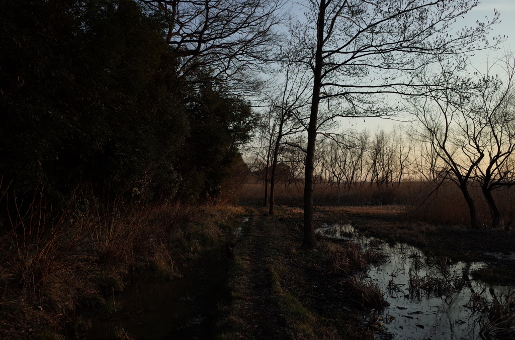 2015/02/11_ホタルの里