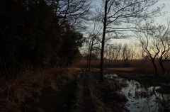 2015/02/11_ホタルの里