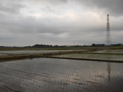 2017/05/27_水田の曇天