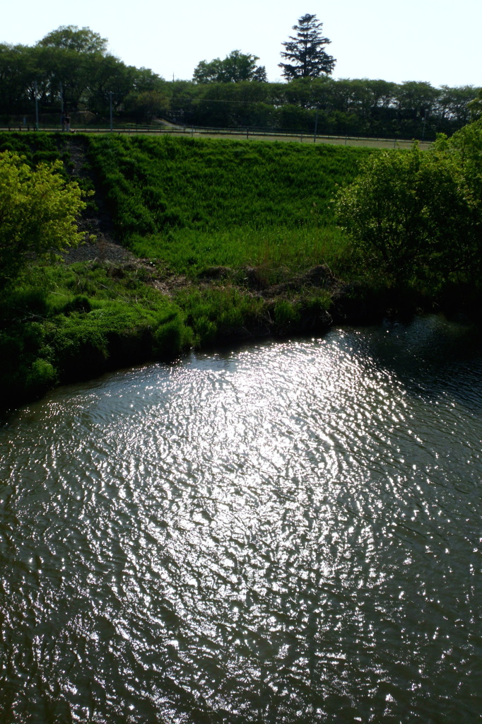 2015/04/26_光る中川