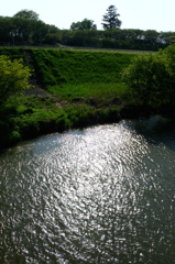 2015/04/26_光る中川