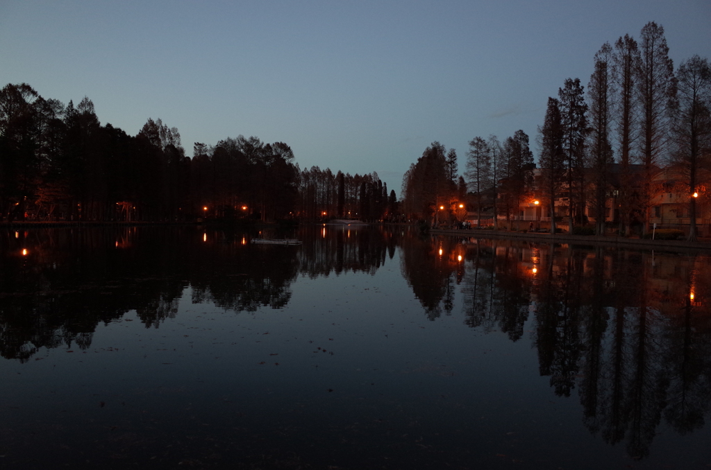 2014/12/14_夕暮れの別所沼公園