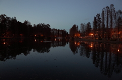 2014/12/14_夕暮れの別所沼公園
