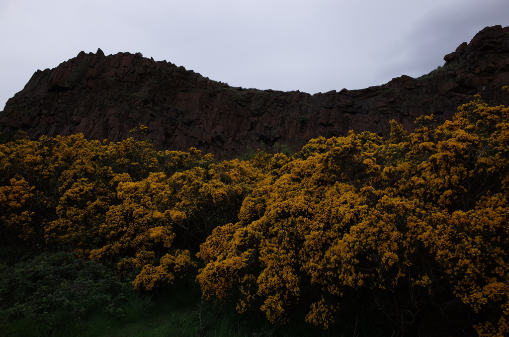 2016/05/20_ソールズベリー・クラッグス ハットンの断面