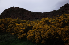 2016/05/20_ソールズベリー・クラッグス ハットンの断面